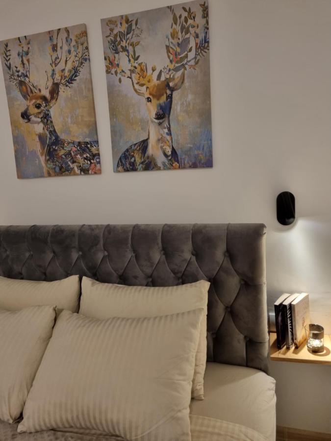 Zlatar Holidays Apartmani Nova Varoš Eksteriør billede