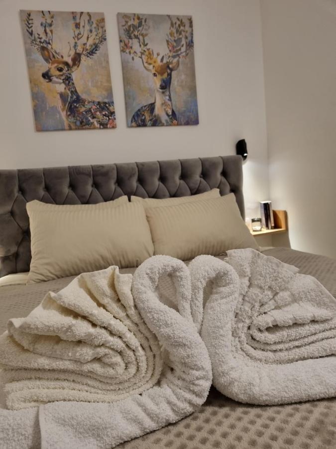 Zlatar Holidays Apartmani Nova Varoš Eksteriør billede